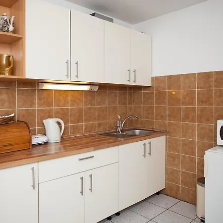 Apartament Family Friendly With A Swimming Pool Sustjepan, - 17308